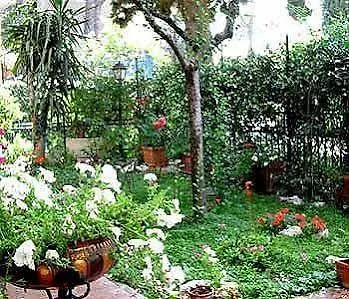 Bed & Breakfast A Casa Di Patrizia Rome